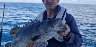 Angler lands “prehistoric” deep-sea wreckfish that is rarely seen