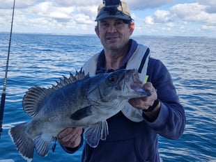 Angler lands “prehistoric” deep-sea wreckfish that is rarely seen