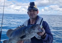 Angler lands “prehistoric” deep-sea wreckfish that is rarely seen