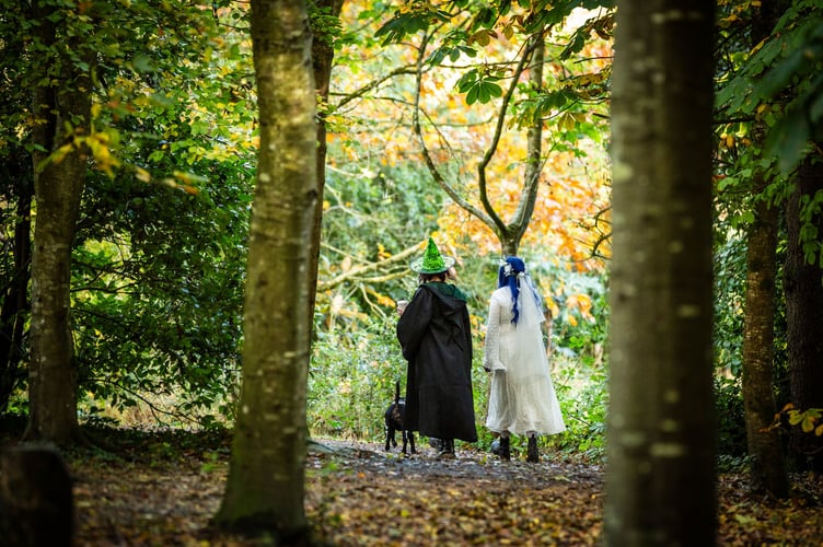 Visitors walking their dogs in Halloween costumes at Rowallane Gardens, County Down