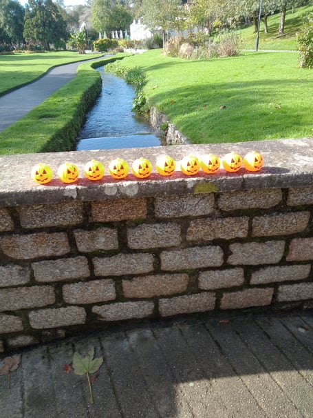 A bat trail, Halloween crafts and pumpkin racing will be held