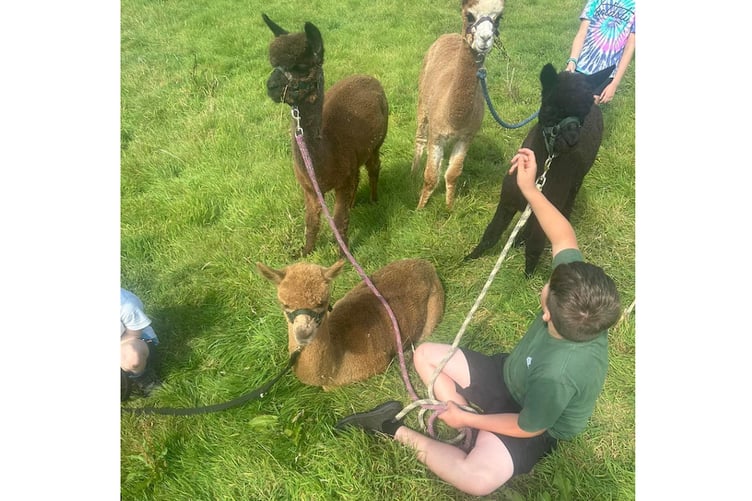 The Farming Mother CIC, based near St Austell, delivers farm-based activities.