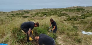 National Grid tackles invasive plants