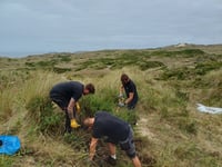 National Grid tackles invasive plants