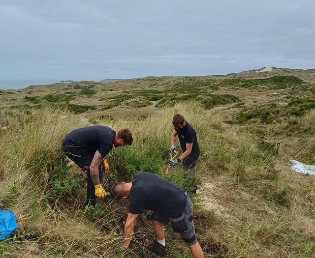 National Grid tackles invasive plants