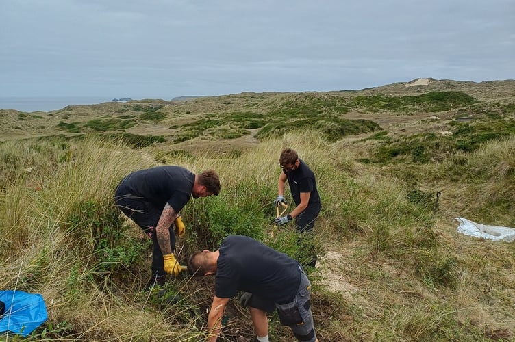  The NGED team at work at the Hayle dune reserve