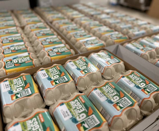 Cornish family business transforming egg industry with tech investment