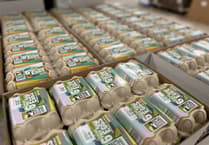 Cornish family business transforming egg industry with tech investment