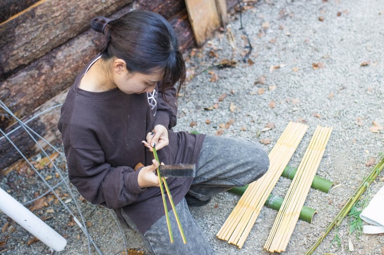 Yoshika Yakabe at Trebah Garden, near Falmouth.Japanese artists travelled to the UK to work with bamboo that grows in a unique Cornish micro-climate. Experts in 'takezaiku' ventured thousands of miles to demonstrate their skills in a plantation at Trebah Garden, near Falmouth.The centuries-old Japanese art translates to "bamboo craft" in English.Over the last 10 years, Trebah Gardens has started to produce some of the largest bamboo canes n the UK because of its unique micro-climate.The 190-year-old sub-tropical garden contains the ideal conditions for growing bamboo, tree ferns, palm trees and magnolias throughout its 26-acre valley.