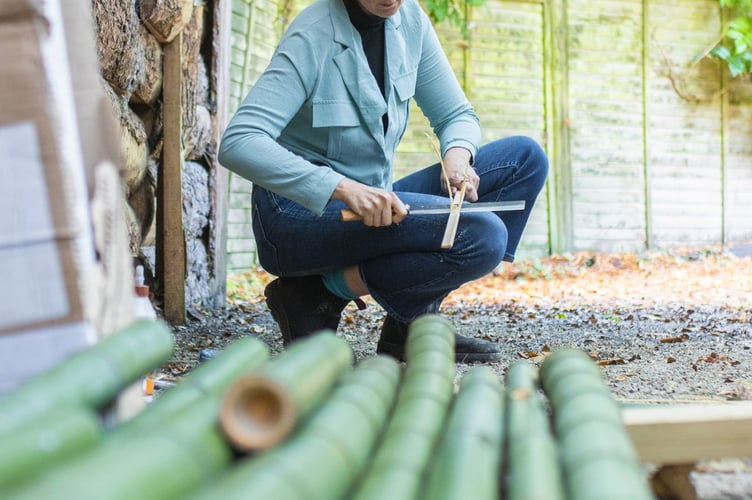 Alice McCabe at Trebah Garden, near Falmouth.Japanese artists travelled to the UK to work with bamboo that grows in a unique Cornish micro-climate. Experts in 'takezaiku' ventured thousands of miles to demonstrate their skills in a plantation at Trebah Garden, near Falmouth.The centuries-old Japanese art translates to "bamboo craft" in English.Over the last 10 years, Trebah Gardens has started to produce some of the largest bamboo canes n the UK because of its unique micro-climate.The 190-year-old sub-tropical garden contains the ideal conditions for growing bamboo, tree ferns, palm trees and magnolias throughout its 26-acre valley.