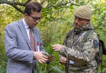 Cornish MP visits RAF base for a day of defence, discovery and hedgehog hospitality