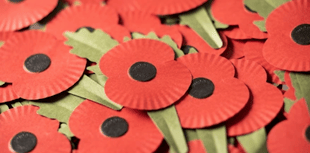 Remembrance events in Truro