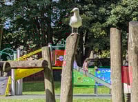 Investigation launched after vandal covers Bodmin play park in diesel