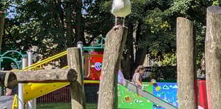 Investigation launched after vandal covers Bodmin play park in diesel