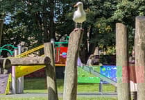 Investigation launched after vandal covers Bodmin play park in diesel