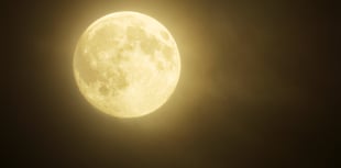 The Night Sky in November with Brian Sheen 