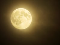 The Night Sky in November with Brian Sheen 