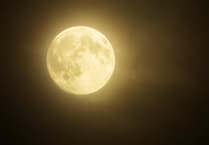 The Night Sky in November with Brian Sheen