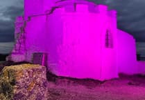 Iconic building will glow purple as part of awareness campaign