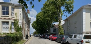 It’s about transparency as well as trees, say protesters 