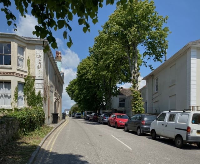 It’s about transparency as well as trees, say protesters 