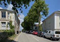 It’s about transparency as well as trees, say protesters who keep on fighting