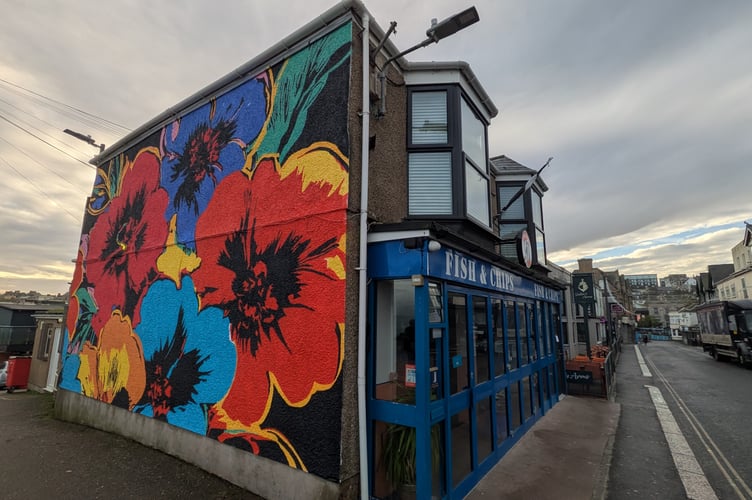 The poppy mural has been created on the side of Truscotts Fish Bar in Fore Street overlooking the car park (Picture: Warren Wilkins)