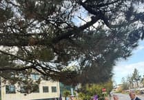 NHS staff tell hospitals chief he needs to stop all job cuts