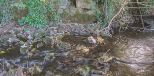 Cornwall’s ancient wells will be explored at history talk