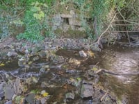 Cornwall’s ancient wells will be explored at history talk