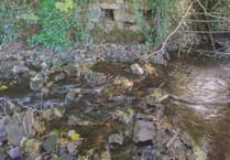 Cornwall’s ancient wells will be explored at history talk