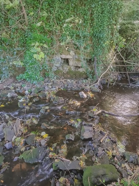 A candidate for being St Silvanius' Well near Rose Hill Farm, outside Penzance (Picture: Guy English)