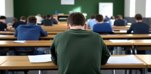 Kirstie Newton: Let our kids become rounded humans, not worker drones 