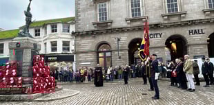 Veterans and dignitaries honour Armistice Day