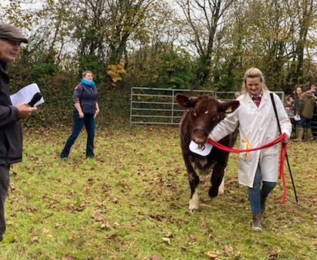 Liskeard Winter Fair hails 104 years of farming excellence