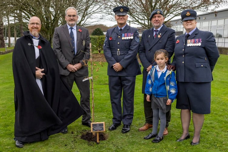 High Sheriff of Cornwall (Head Forester to the Duchy of Cornwall and to HMTK) â Geraint Richards MVO OBE FICFor â is running a project during 2025 to plant oak trees in honour of the 80th year since the end of WW2. Oak is the traditional symbol for 80th anniversaries signifying strength, longevity, endurance and resilience.
 
HSofC kindly gifted the tree to Station during an earlier visit, and returned for a ceremonial planting alongside Service personnel, an RAF veteran now working in a civilian role on Station, and a Service child as part of the Stationâs Armistice Day commemorations.
 
The planting of the tree marks a place for quiet reflection on Station and for new beginnings after the sacrifices made by so many for the freedoms we enjoy today, however uncertain the world may feel right now.