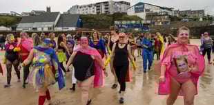 Call for superheroes to don their costumes for charity dip
