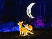 New light installations at tourist attraction night garden
