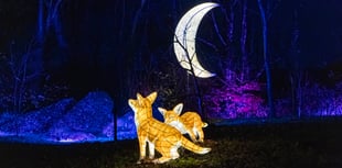 New light installations at tourist attraction night garden