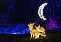 New light installations at tourist attraction night garden in Cornwall