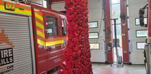 Community effort ensures knitted poppy tribute can be reused