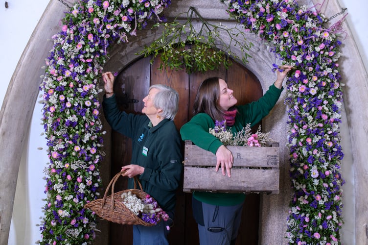 Record-breaking year for Cotehele's famous Christmas Garland
38,000 dried flowers grown, harvested and hand-placed at the National Trust estate in Cornwall

Cotehele celebrates its biggest ever garland, created from 38,000 home-grown flowers
deal growing conditions made 2025 a bumper year for key blooms including paper daisies, bunny tails and statice
 Visitors can see the full 60ft garland in the Great Hall daily from Saturday, 22nd November - Monday, 5th January (closed 25th - 26th December), 10.30am - 4pm
Cotehele's celebrated Christmas Garland has reached record heights this year, as gardeners announce a remarkable 38,000 flowers grown, picked, stripped, dried and prepared on site for the 2025 display.
Thanks to a near-perfect spring and summer - with a balanced mix of sunshine, warmth and timely rainfall - the garden team enjoyed one of their most successful growing seasons in decades
