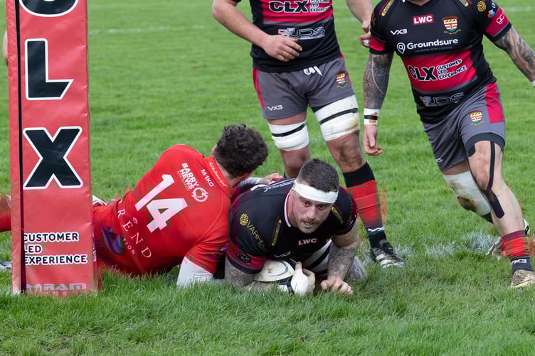 Camborne No 8 Shaun Buzza dives over for the opening try in the win over Barnstaple - Photo Steve Mock.