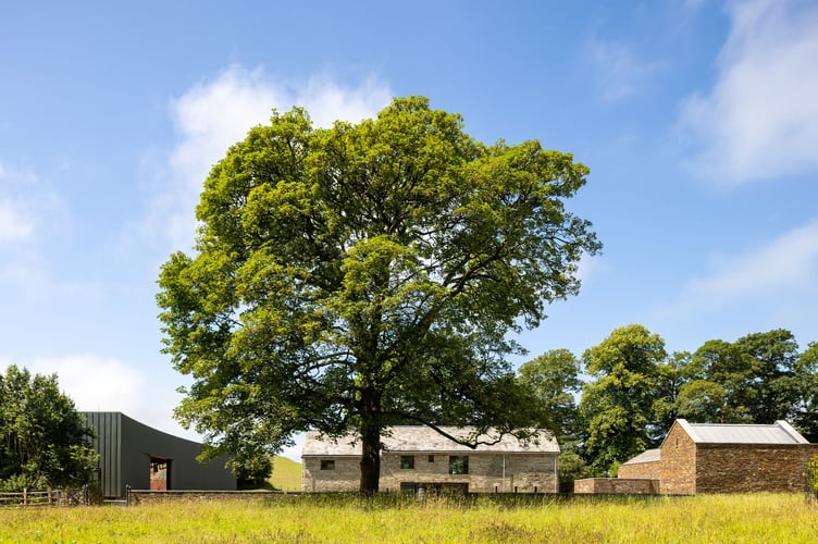 A new museum in North Cornwall including the restoration of an historic home, cafe and gardens. Architect: Stonewood Design.