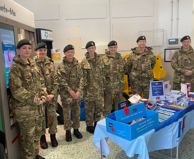 RBL chair's delight after poppy collection total