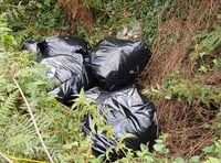 Hidden fly-tipping camera catches people at rural layby in Cornwall