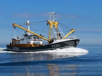 Fishing business bought by company in Falkland Islands