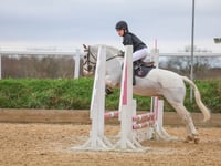 Young Camborne riders shine in day of equestrian triumphs