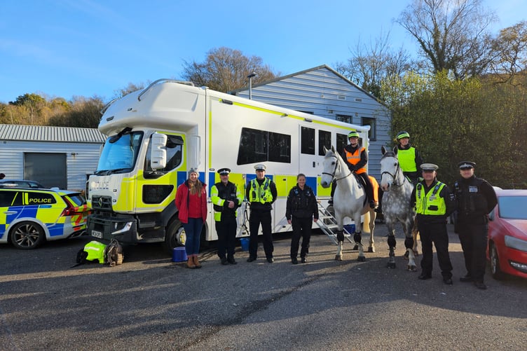 DC Police Horse riding operation