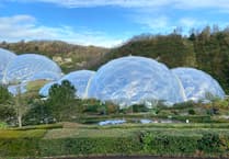 Cornwall Favourites: Biomes, clay pits and rolling countryside
